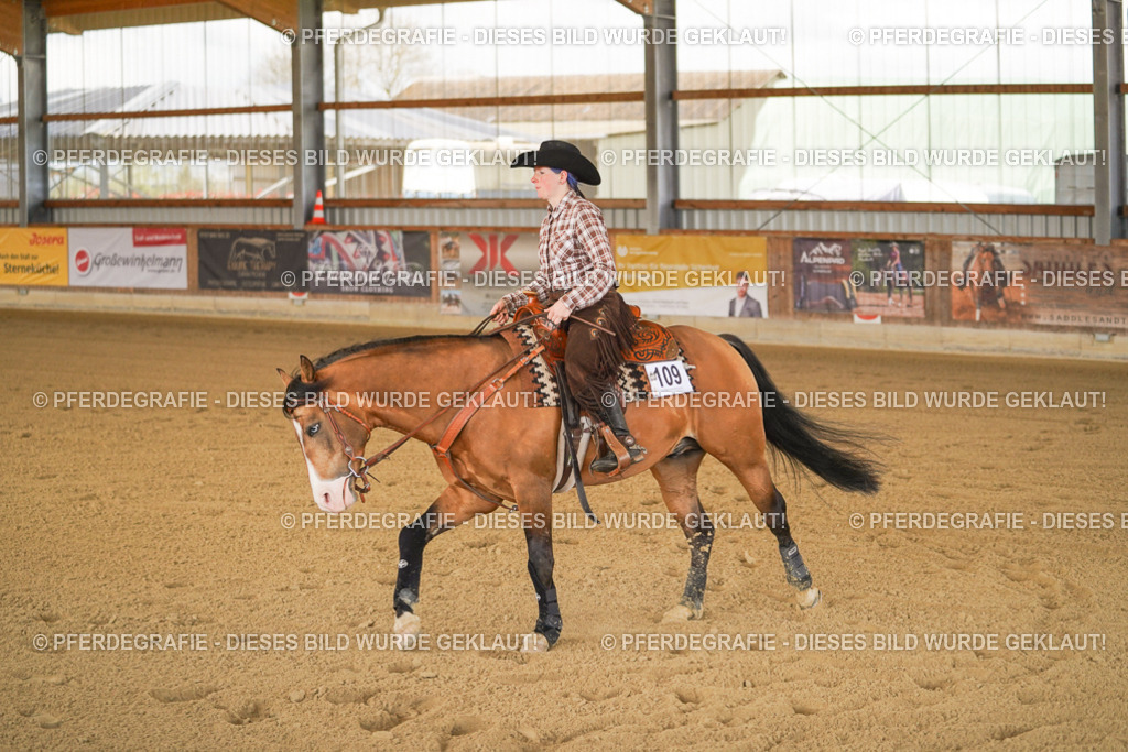 DSC06972 | Pferdegrafie