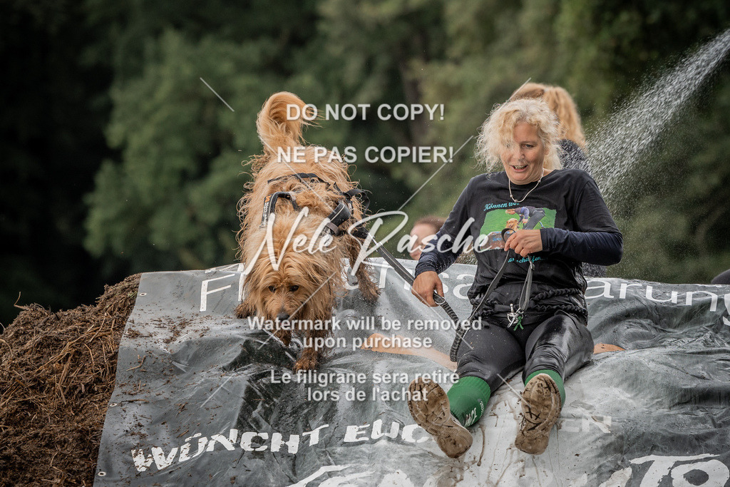 nelerasche_Wingst_Sa1300-1330_331 | nelerasche