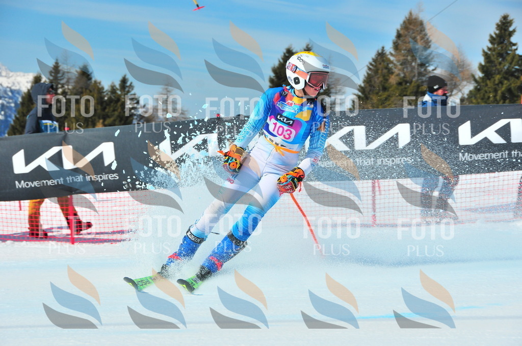 DSC_4616 | holidayphoto