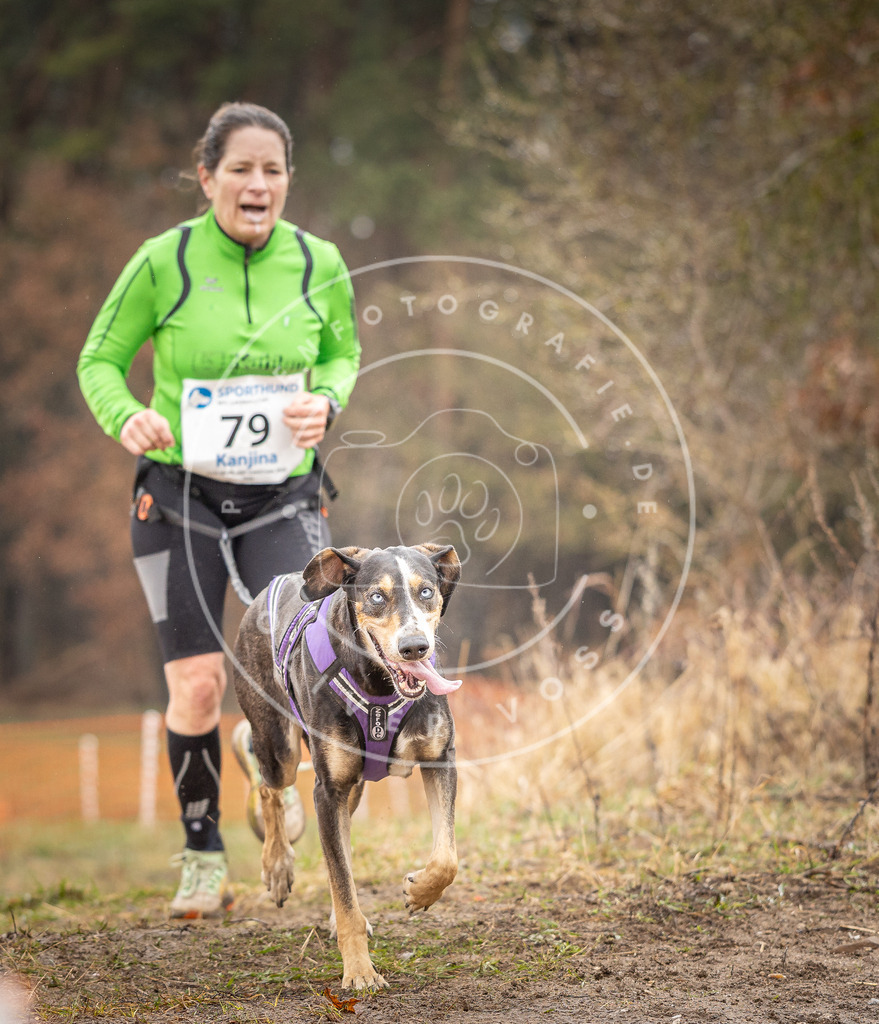 DV3A0326 | Hundefotografie, Tierfotograf, Pfotenfotografie, Fotoshooting Hund, Hunde Portrait, Hundesport, Hundeportraits, Heideshooting, Hunde, Sportfotograf, Hundefotograf, Turnierhundsport, THS,  - Realisiert mit Pictrs.com
