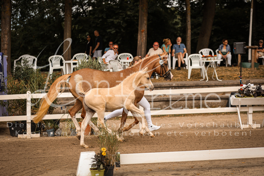 07.So00010 | Leoni Ertmer Photography - Realisiert mit Pictrs.com