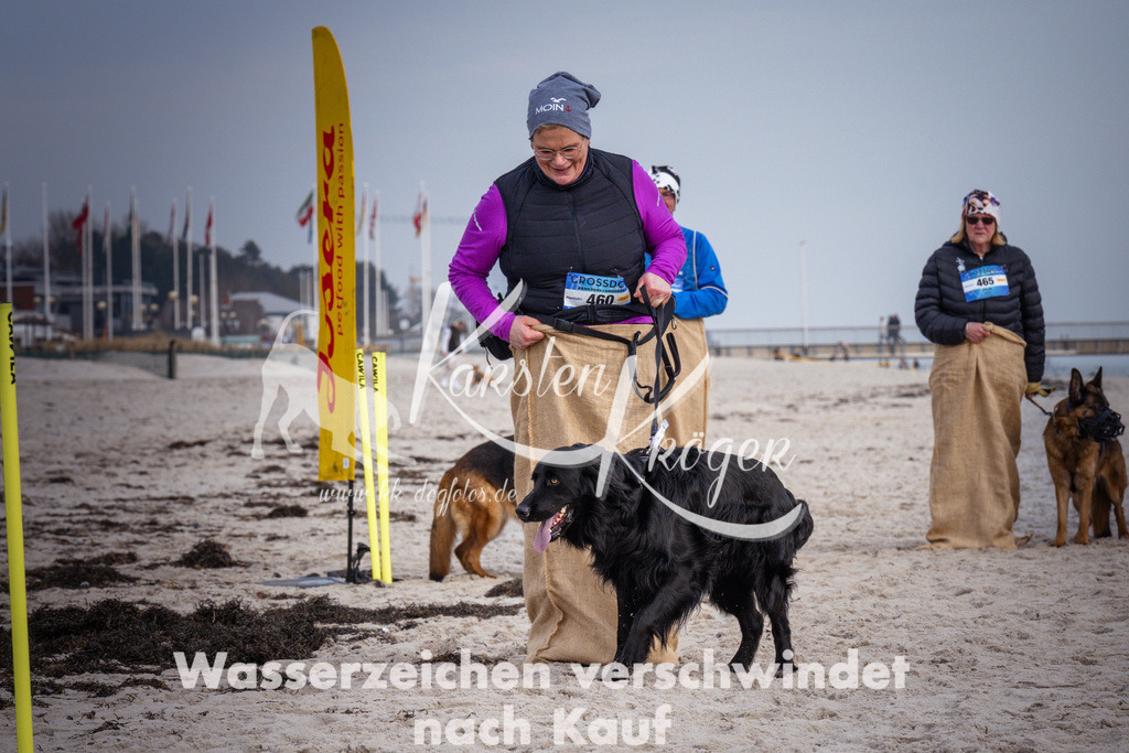 1305_ZZ98472 | kk-dogfotos