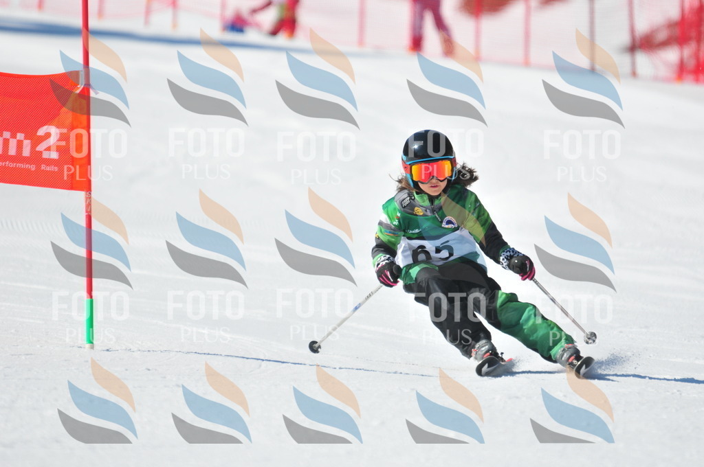 C2979 | holidayphoto