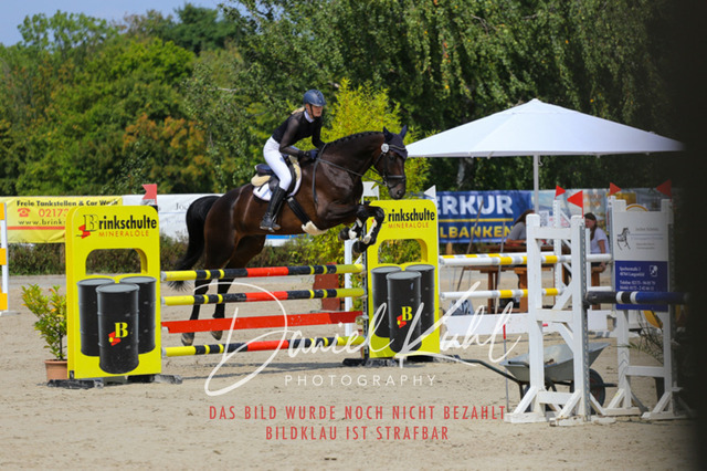 Gut Blee25_Amateuer Stilsprpfg Kl L_0102 | Turniersportfotografie; Pferdefotografie; Dressurfotografie