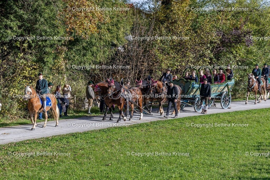 LBT24-929 | foto-bettina-krinner - Realisiert mit Pictrs.com