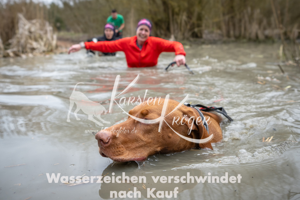 1418_ZZ98069 | kk-dogfotos