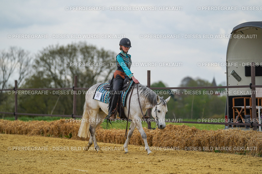 DSC06567 | Pferdegrafie