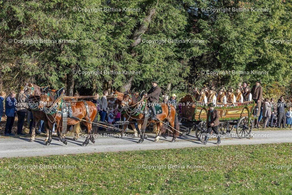 LBT25-553 | foto-bettina-krinner - Realisiert mit Pictrs.com