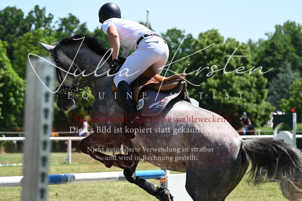 DSC_0557 | Pferde- und Turnierfotografie in Westsachsen. Pferdeportraits, Auftragszeichnungen und intuitive Kunst.