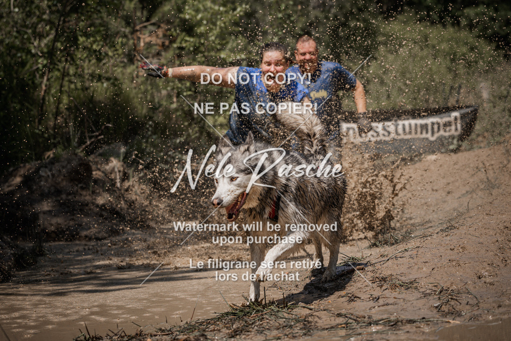 nelerasche_Hoope2026_Sa1330-1400_303 | nelerasche