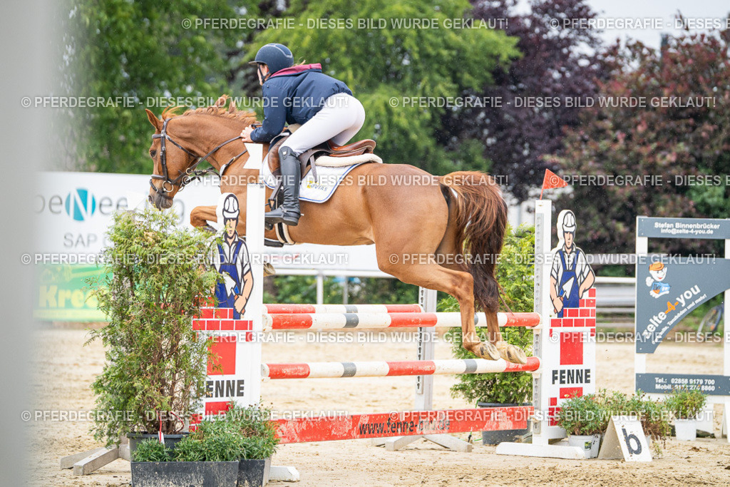 DSC00941 | Pferdegrafie