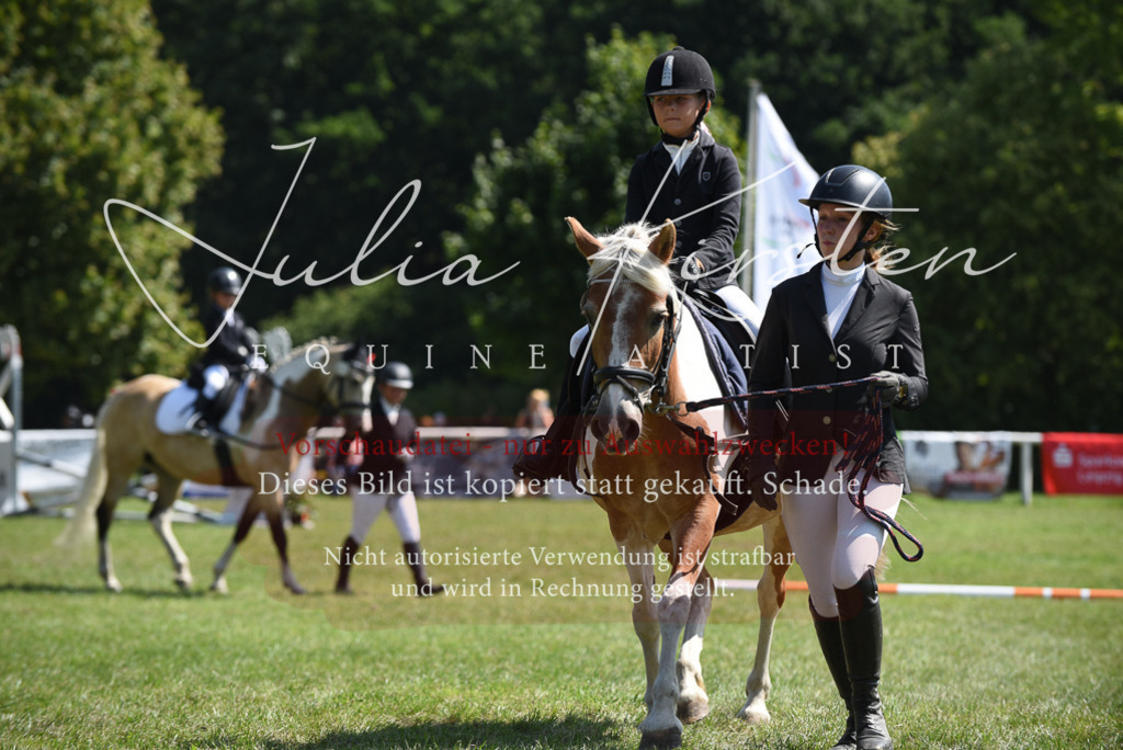 DSC_9853 | Pferde- und Turnierfotografie in Westsachsen. Pferdeportraits, Auftragszeichnungen und intuitive Kunst.