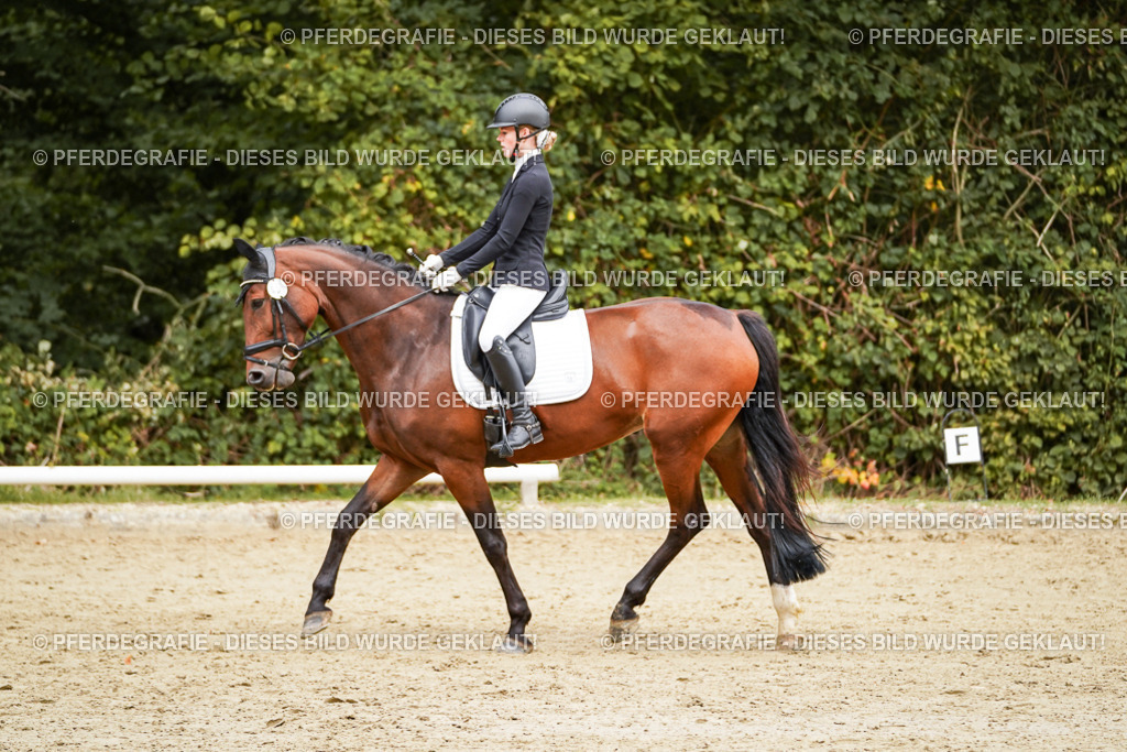 DSC00306 | Pferdegrafie