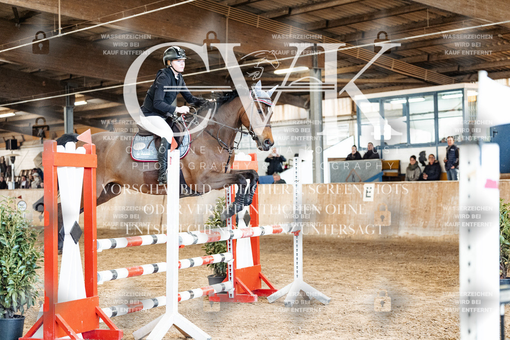 CK905242 | Turnierfotografie Pferdefotografie Trier Rheinland-Pfalz Pferdesport Reitsport Tierfotografie Sportfotografie Pferdevideo Pferdevideografie Equestrianvideography equestrianphotography  - Realisiert mit Pictrs.com