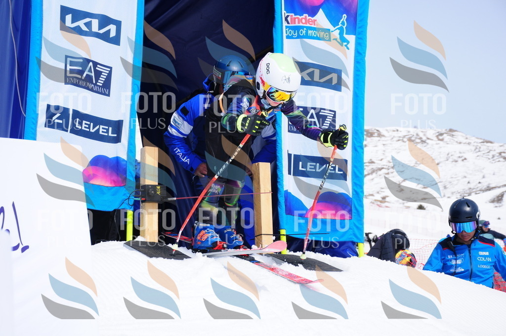 DSC_1737 | holidayphoto