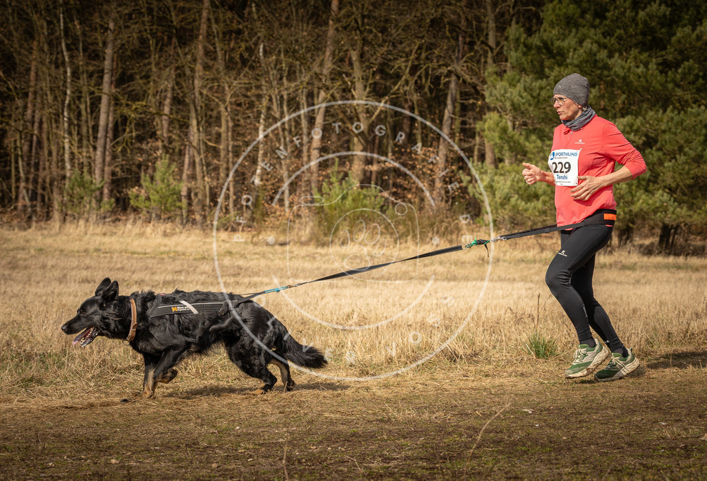 DV3A5494 | Hundefotografie, Tierfotograf, Pfotenfotografie, Fotoshooting Hund, Hunde Portrait, Hundesport, Hundeportraits, Heideshooting, Hunde, Sportfotograf, Hundefotograf, Turnierhundsport, THS,  - Realisiert mit Pictrs.com