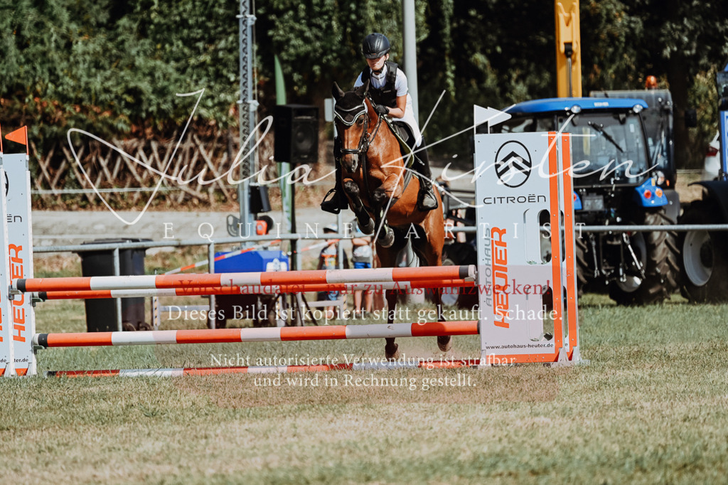 DSC_9418 | Pferde- und Turnierfotografie in Westsachsen. Pferdeportraits, Auftragszeichnungen und intuitive Kunst.