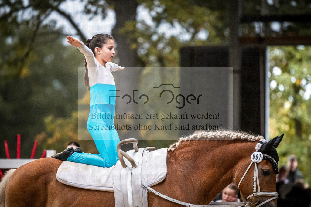 DOS_0088 | Entdecke hochwertige Reitturnierfotos von Foto Oger. Professionell, emotional und authentisch – jetzt Lieblingsmomente im Shop bestellen.Deutschlandweite Turnierfotografie. - Realisiert mit Pictrs.com