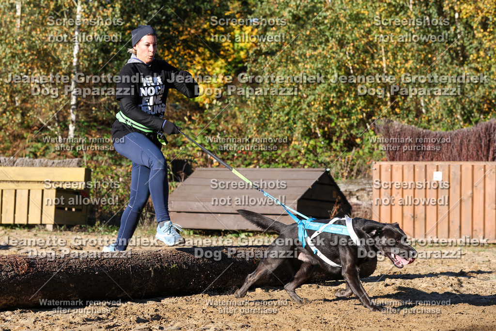 Dog Paparazzi - Strongdog 10-25-1569 | Dog Paparazzi Jeanette Grottendiek Fotografie & Videografie - Realisiert mit Pictrs.com