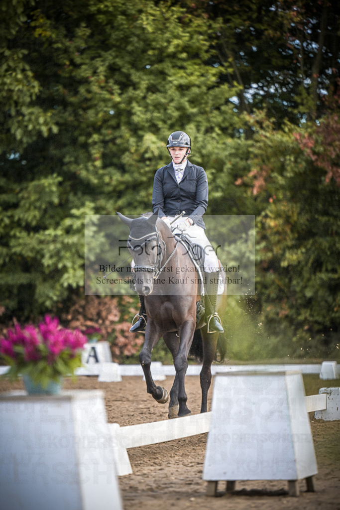 DOS_1380 | Entdecke hochwertige Reitturnierfotos von Foto Oger. Professionell, emotional und authentisch – jetzt Lieblingsmomente im Shop bestellen.Deutschlandweite Turnierfotografie. - Realisiert mit Pictrs.com