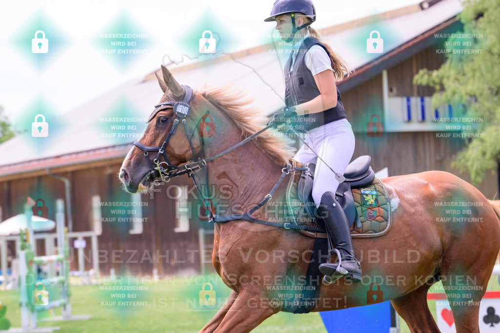 30052026-Forstinning-Prfg23-0173 | Fokus Hufschlag Fotografie - Realisiert mit Pictrs.com