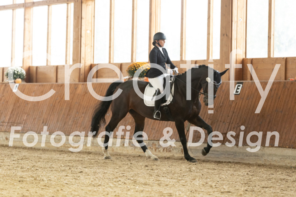 IMG_2738 | Creatify Fotografie