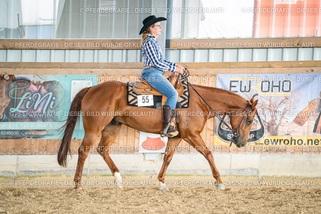 DSC08257 | Pferdegrafie