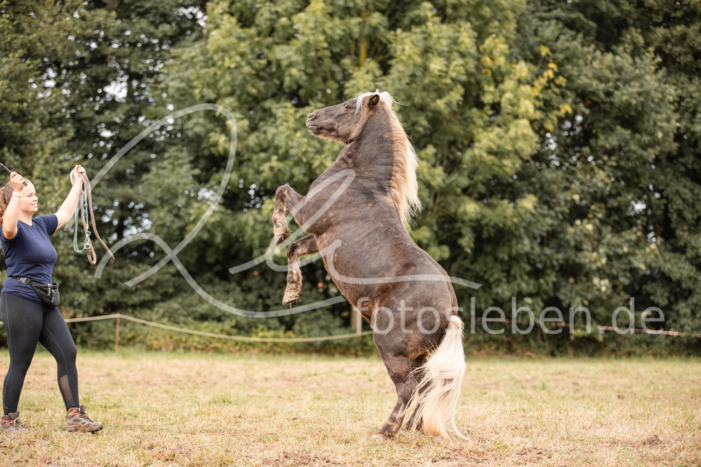 846A3812 | fotosleben - Realisiert mit Pictrs.com