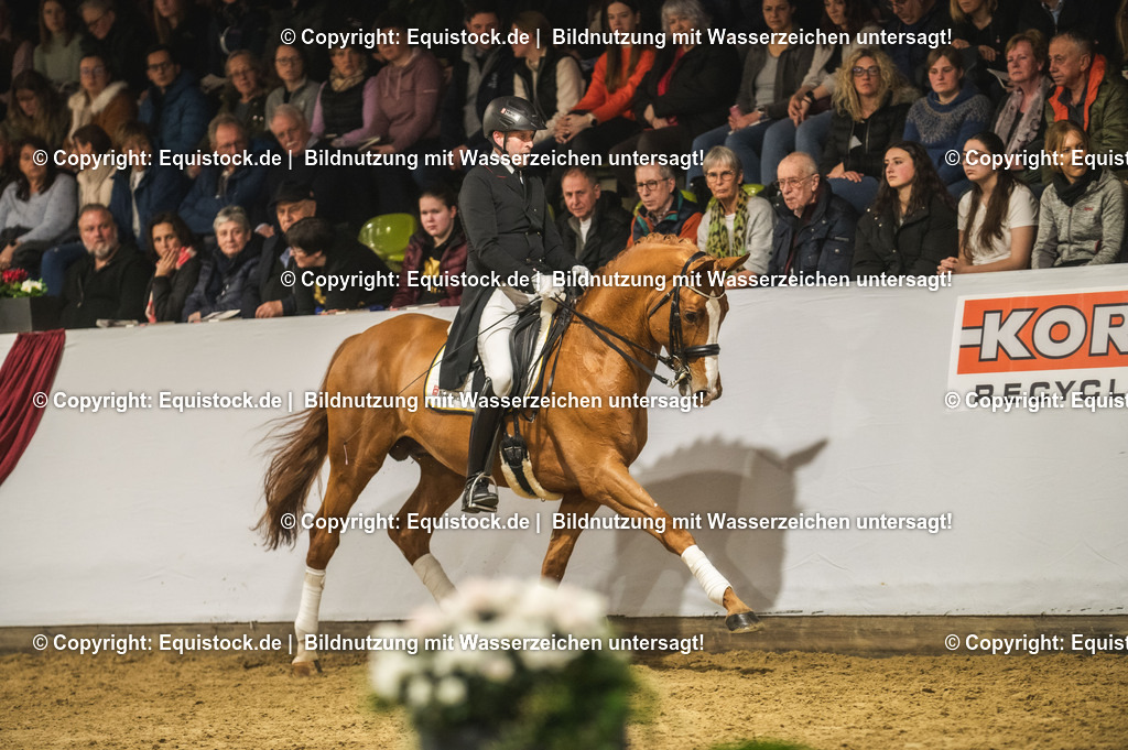 20240302_Hengstvorstellung_Marbach_TOMsPiC_0942 | equistock