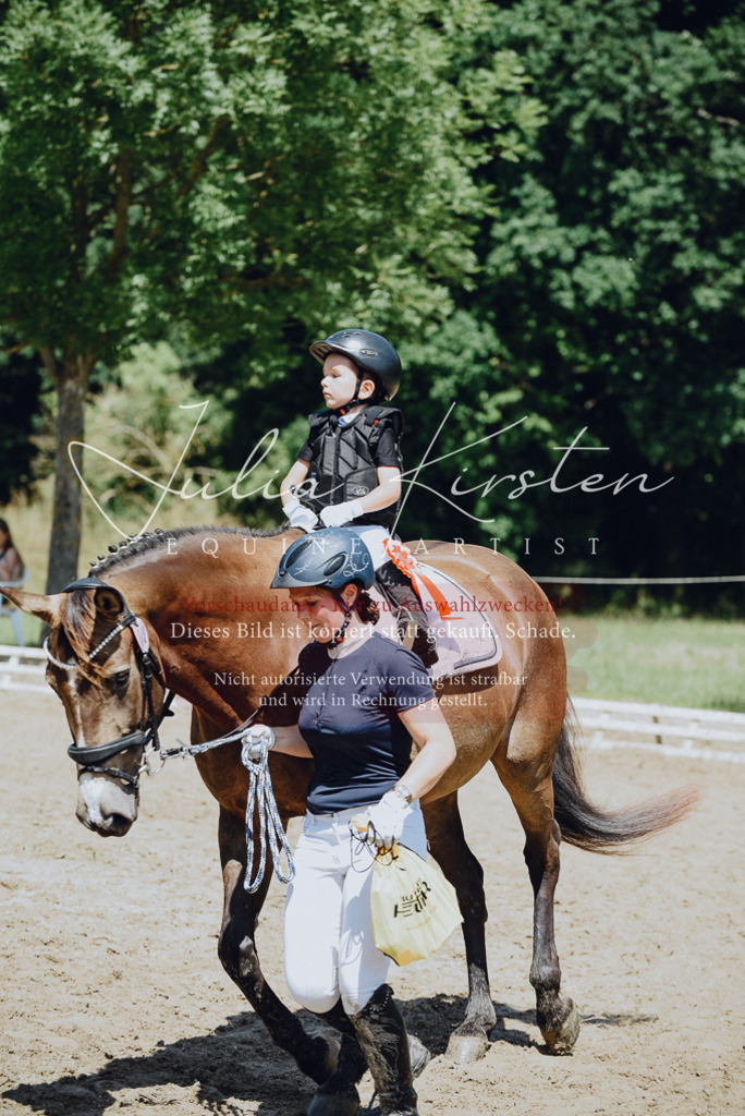 DSC_2728 | Pferde- und Turnierfotografie in Westsachsen. Pferdeportraits, Auftragszeichnungen und intuitive Kunst.