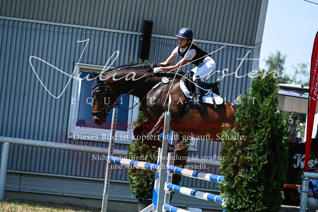 DSC_0531 | Pferde- und Turnierfotografie in Westsachsen. Pferdeportraits, Auftragszeichnungen und intuitive Kunst.