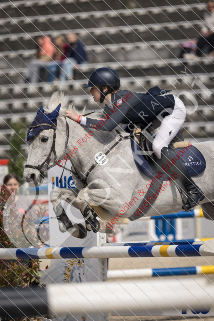 IMG_4656 | Sport-, Event- und Tierfotos in Profiqualität. Einfach auswählen, bestellen und herunterladen. Dein Moment – perfekt festgehalten.