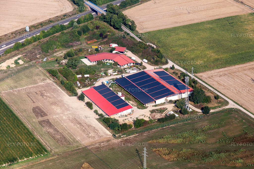 Luftbild: Eierfarm in Erlenbach bei Kandel im Bundesland Rheinland-Pfalz in Deutschland. Foto: IMG_117284.jpg vom 25.08.2019 durch Werner Riehm/FLY-FOTO.de