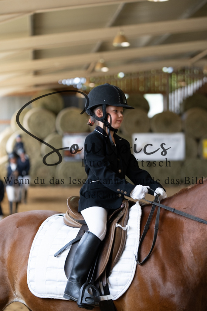 A7V08276 | Pferdefotograf