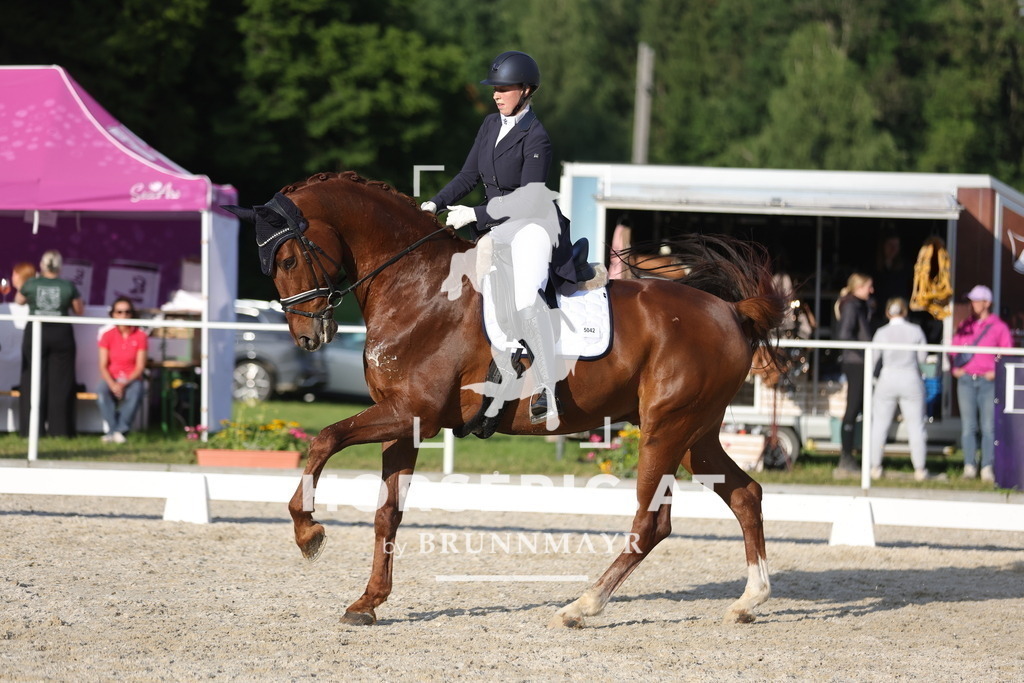 0P6A7804 | Willkommen bei Brunnmayr - Design & Fotografie – Ihrem Spezialisten für Reitturniere und Pferdeveranstaltungen in Oberösterreich, Salzburg und Bayern! Seit über 17 Jahren sind wir leidenschaftlich dabei.