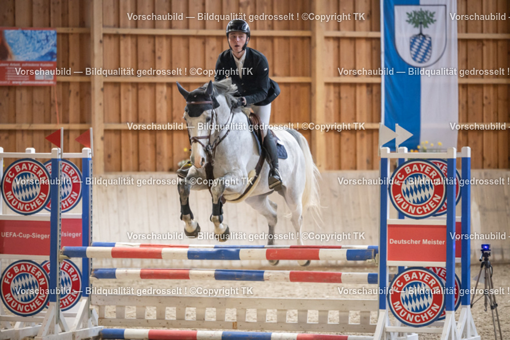 _D5A7558 | Emotionale Pferde- & People-Fotografie rund um Heidelberg, Leimen & Umgebung. Natürliche Fotos von Pferd, Mensch & Familie. Jetzt Termin sichern!