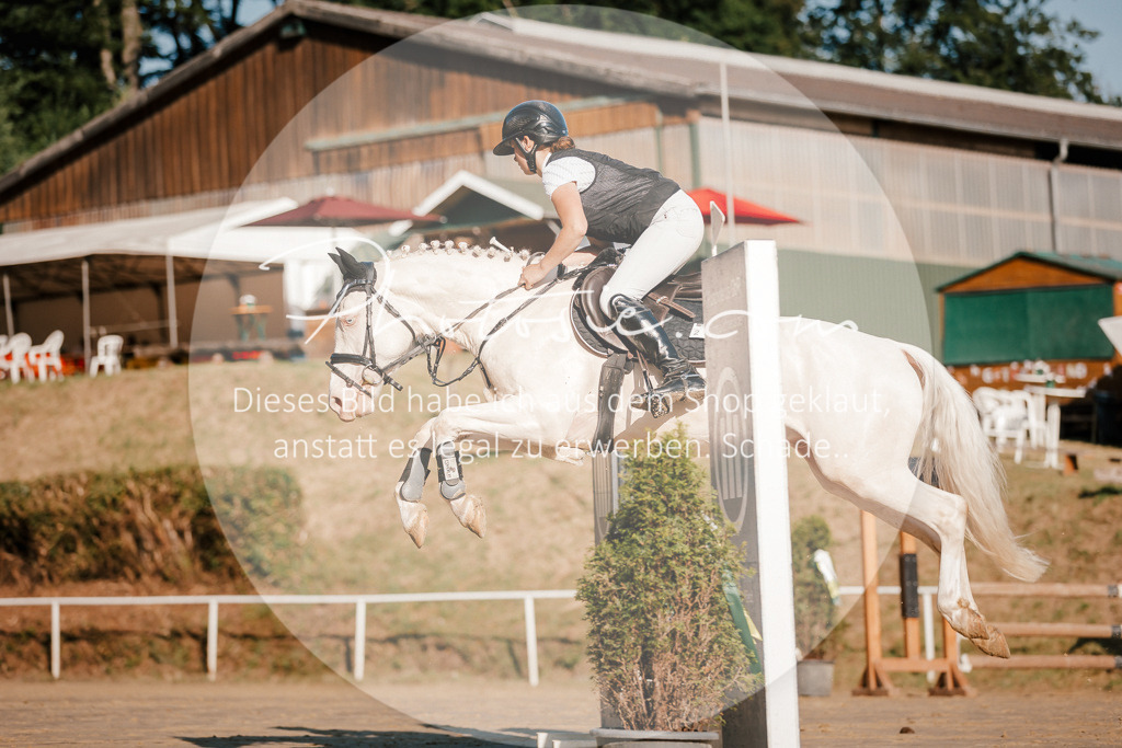 3I6A6259 | Stimmungsvolle Portraits und Reitsportfotografie im Ruhrgebiet und im Münsterland.

Pferdefotografie, Hundefotografie, Tierfotografie, Reportagen, Portraits von Tier und Mensch, Turnierfotografie in Bochum, Recklinghausen, Marl, Haltern am See, Dülmen.. - Realisiert mit Pictrs.com