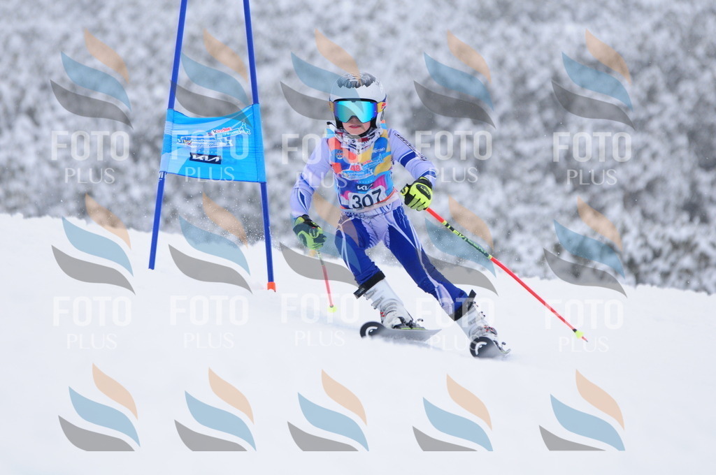 C3242 | holidayphoto