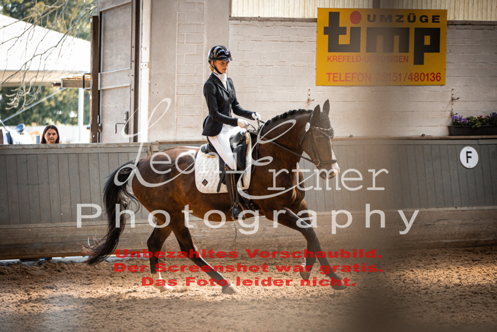 9.SaDrRL00629 | Leoni Ertmer Photography - Realisiert mit Pictrs.com