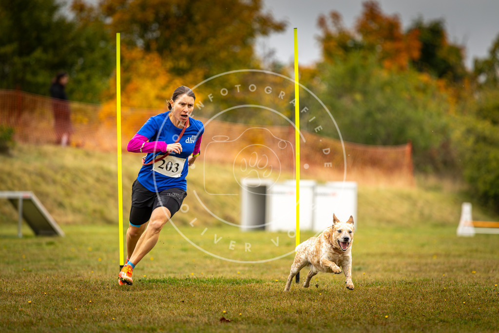 Pfotenfotografie_DV3A2026 | Hundefotografie, Tierfotograf, Pfotenfotografie, Fotoshooting Hund, Hunde Portrait, Hundesport, Hundeportraits, Heideshooting, Hunde, Sportfotograf, Hundefotograf, Turnierhundsport, THS,  - Realisiert mit Pictrs.com