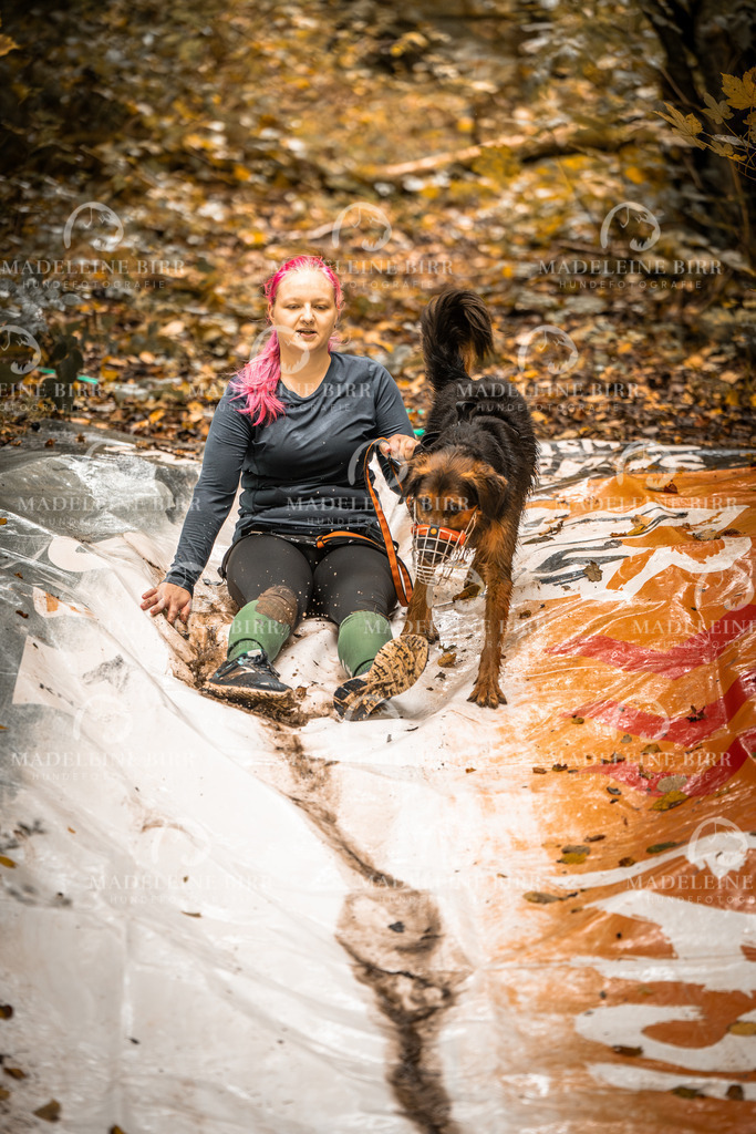 A9205824 | hundefotografie-birr