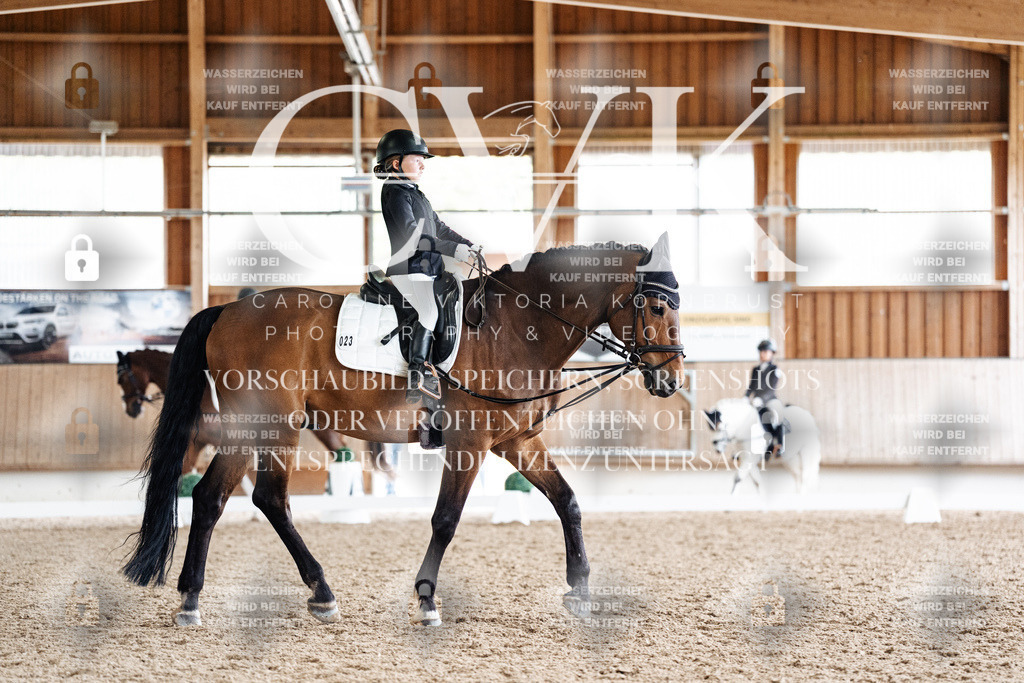 CK900806 | Turnierfotografie Pferdefotografie Trier Rheinland-Pfalz Pferdesport Reitsport Tierfotografie Sportfotografie Pferdevideo Pferdevideografie Equestrianvideography equestrianphotography  - Realisiert mit Pictrs.com