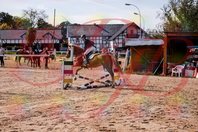 2026_10_03_Siefer-Hof_144727_Z81_24564533 | Professionelle Reitsport-, Turnier- und Eventfotografie von Robert Broda. Galerien mit ausgewählten und bearbeiteten Bildern direkt online ansehen und bestellen.