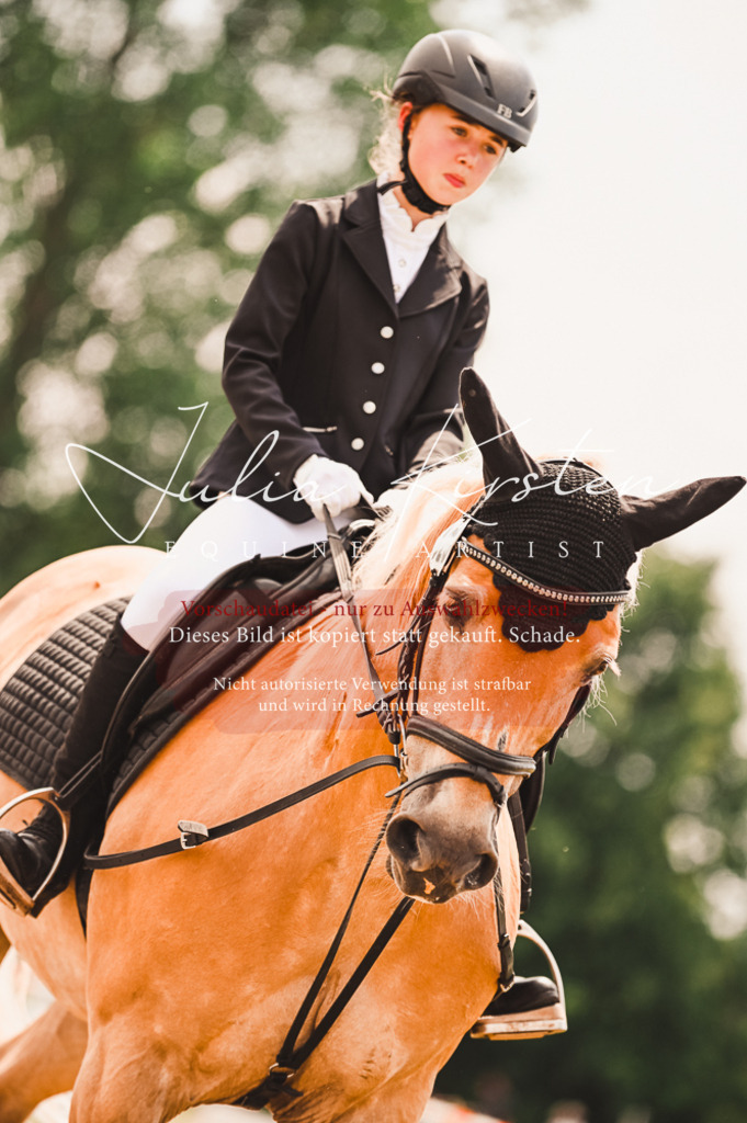 DSC_6230 | Pferde- und Turnierfotografie in Westsachsen. Pferdeportraits, Auftragszeichnungen und intuitive Kunst.