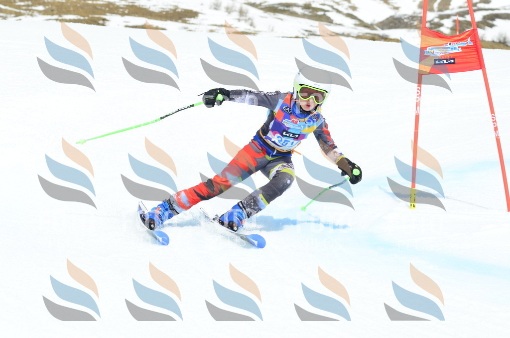 _ELE2687 | holidayphoto