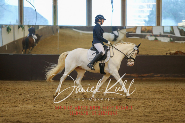 IMG_8028 | Turniersportfotografie; Pferdefotografie; Dressurfotografie