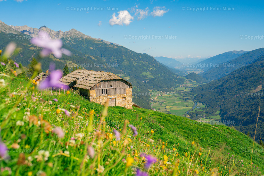 Stoan_Alm_Obervellach-91 | piet_flosse