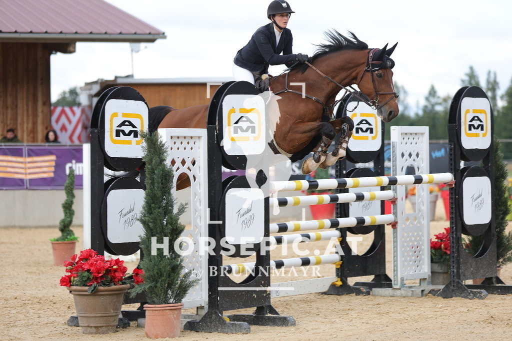 0P6A9421 | Willkommen bei Brunnmayr - Design & Fotografie – Ihrem Spezialisten für Reitturniere und Pferdeveranstaltungen in Oberösterreich, Salzburg und Bayern! Seit über 17 Jahren sind wir leidenschaftlich dabei.