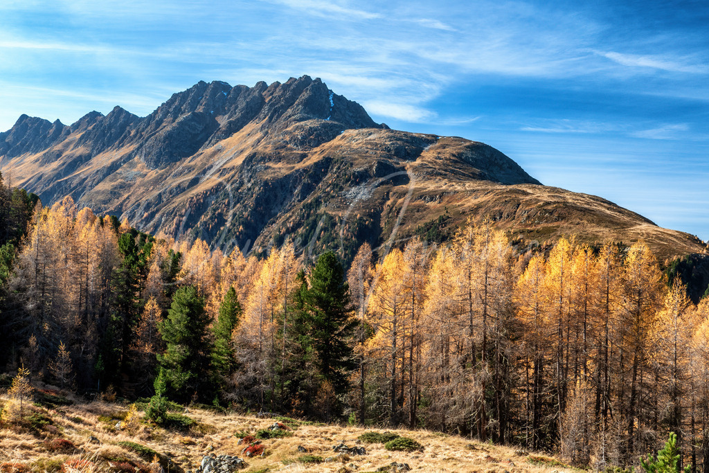 P2410054 | Professioneller Fotograf - Bildbestellung online - Wandbilder vom Profi für ihr Zuhause, Büro, Praxis, Firma - große Auswahl an Materialien und Formaten, über 1400 regionale Motive
