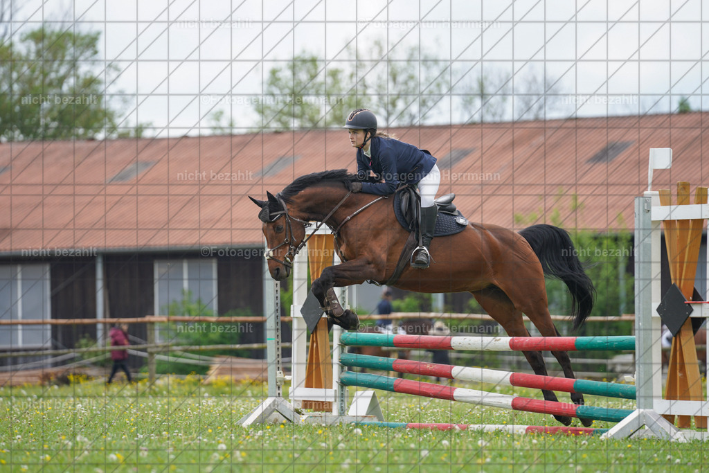 20240509-FAH02646 | Turnierbilder der Turnierfotografen Bayern, Pferdesport Fotografie, Reitsportbilder, Turnier Landberg am Lech, Turnierbilder bayern, Fotoagentur Herrmann